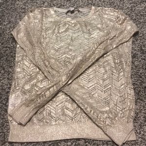 Loft long sleeve sweater